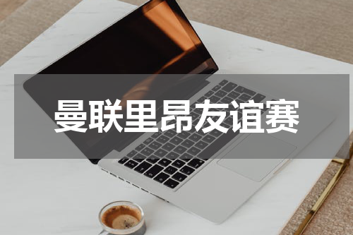 曼联里昂友谊赛