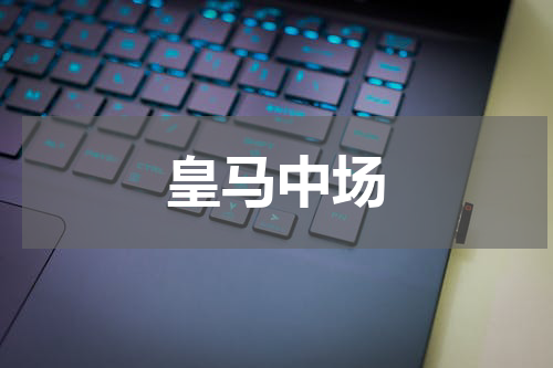 皇马中场