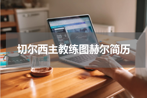切尔西主教练图赫尔简历