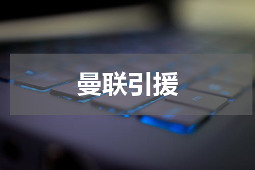 曼联引援