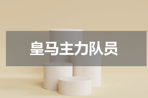 皇马主力队员