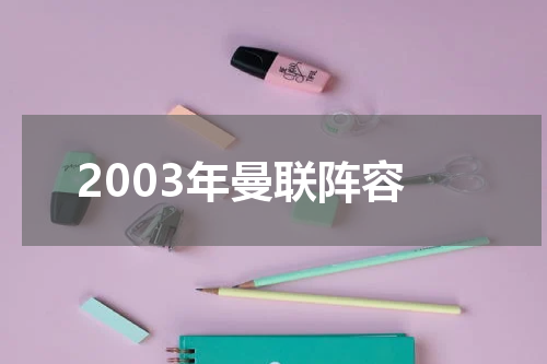 2003年曼联阵容