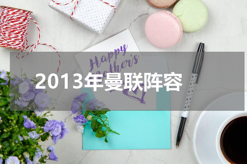 2013年曼联阵容