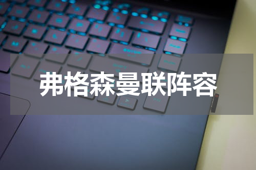 弗格森曼联阵容