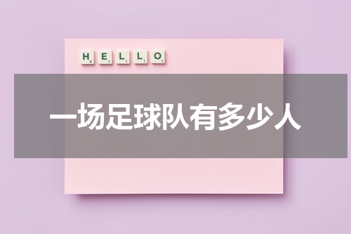 一场足球队有多少人