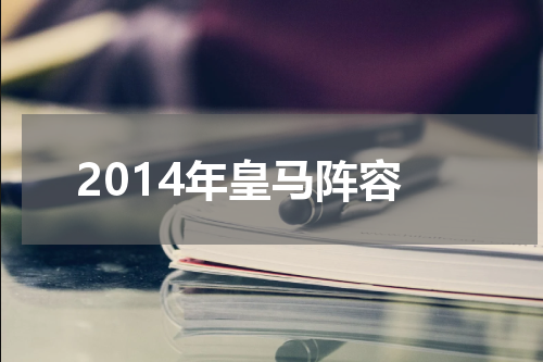 2014年皇马阵容