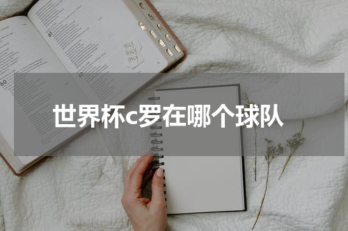 世界杯c罗在哪个球队