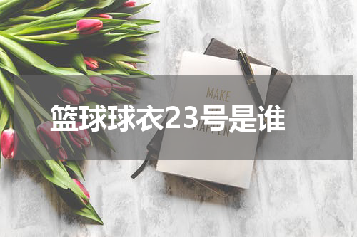 篮球球衣23号是谁
