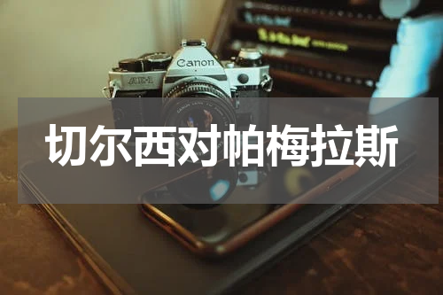 切尔西对帕梅拉斯