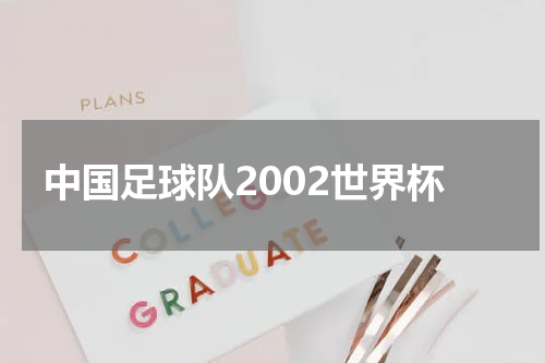 中国足球队2002世界杯