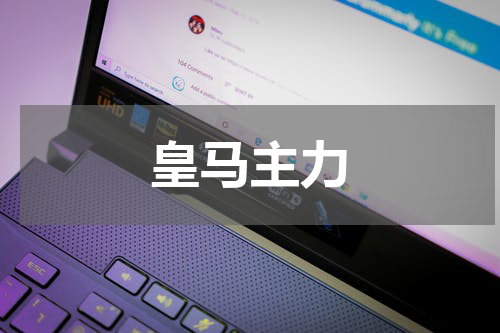 皇马主力