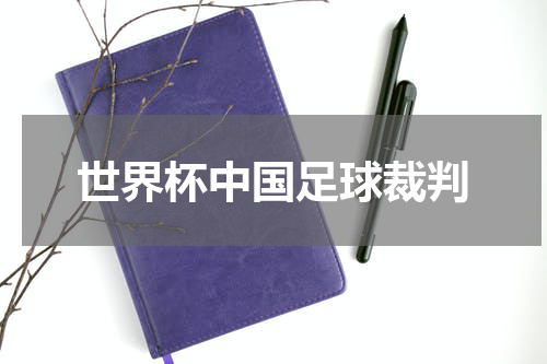 世界杯中国足球裁判