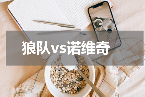 狼队vs诺维奇