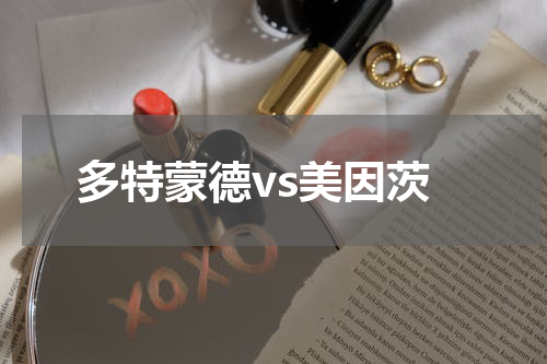 多特蒙德vs美因茨