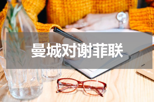 曼城对谢菲联