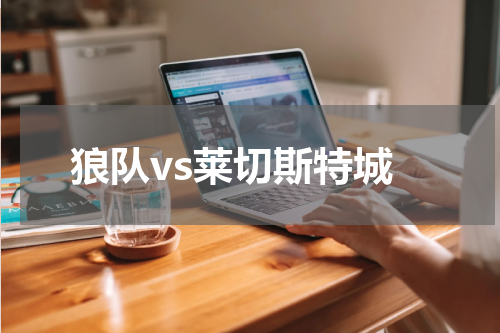 狼队vs莱切斯特城
