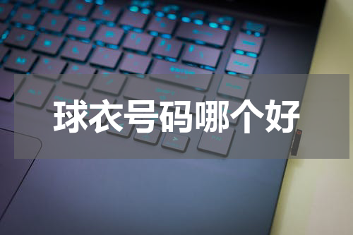 球衣号码哪个好