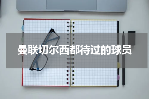 曼联切尔西都待过的球员