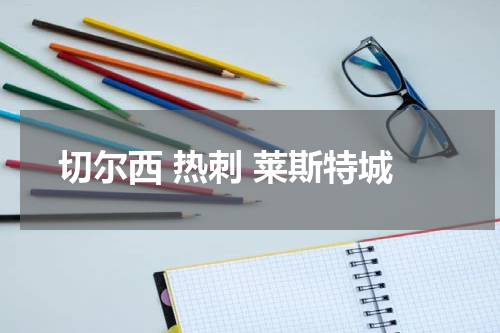 切尔西 热刺 莱斯特城
