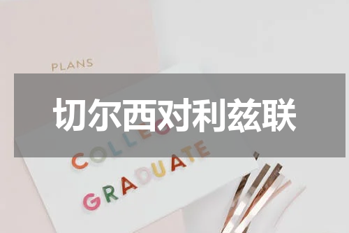 切尔西对利兹联