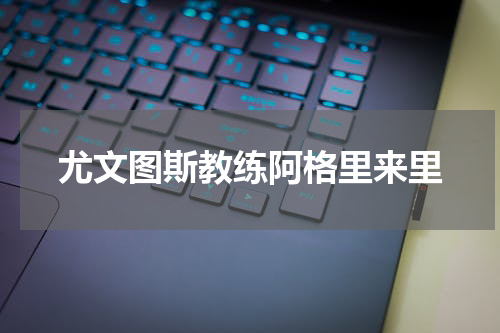 尤文图斯教练阿格里来里