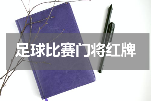 足球比赛门将红牌