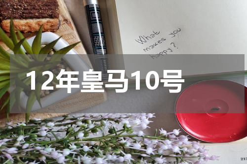 12年皇马10号