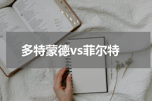 多特蒙德vs菲尔特