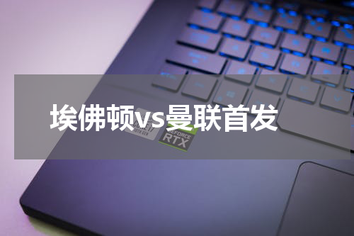 埃佛顿vs曼联首发