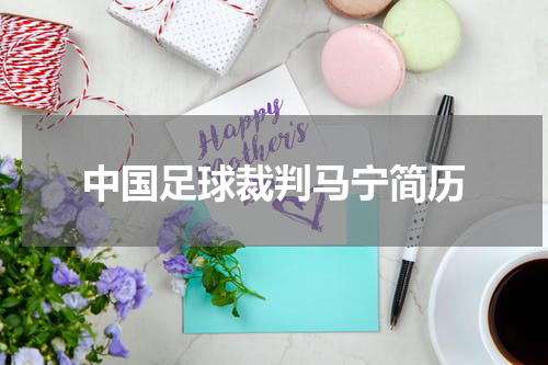中国足球裁判马宁简历