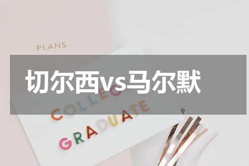 切尔西vs马尔默