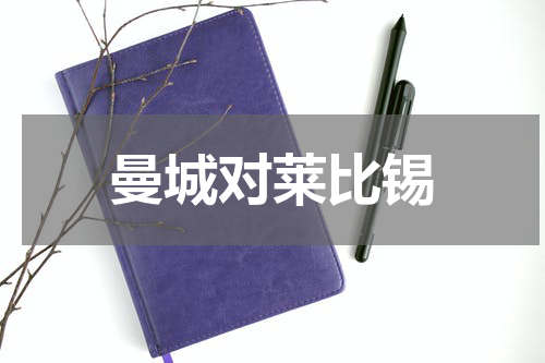 曼城对莱比锡