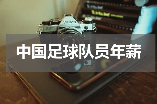 中国足球队员年薪