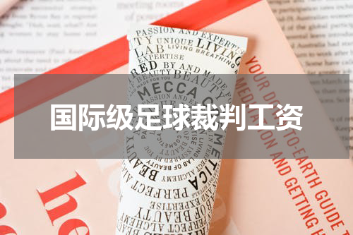 国际级足球裁判工资