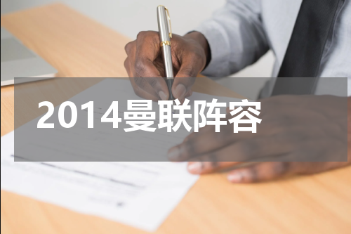 2014曼联阵容