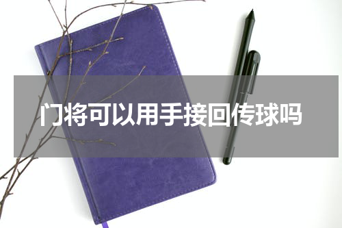 门将可以用手接回传球吗