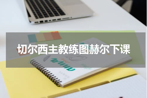 切尔西主教练图赫尔下课