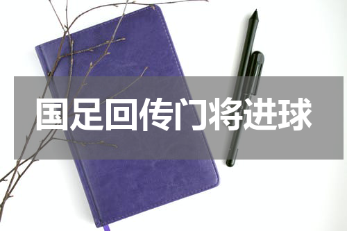 国足回传门将进球