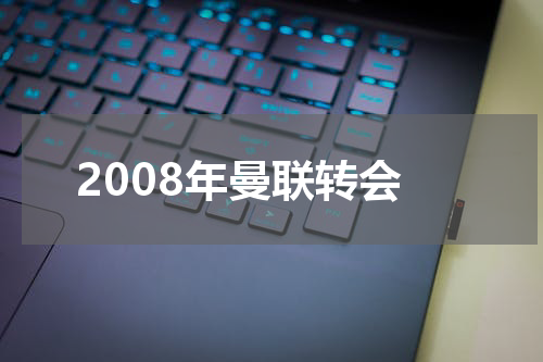 2008年曼联转会