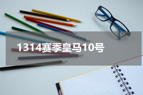 1314赛季皇马10号
