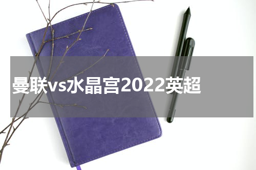 曼联vs水晶宫2022英超