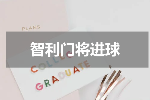 智利门将进球