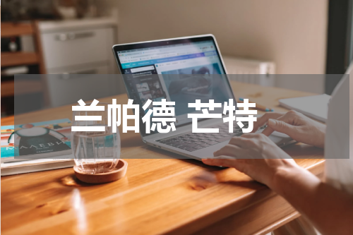 兰帕德 芒特