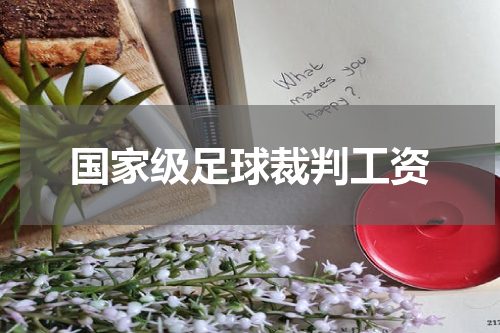 国家级足球裁判工资