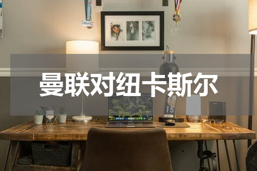 曼联对纽卡斯尔