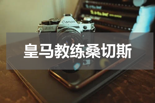 皇马教练桑切斯