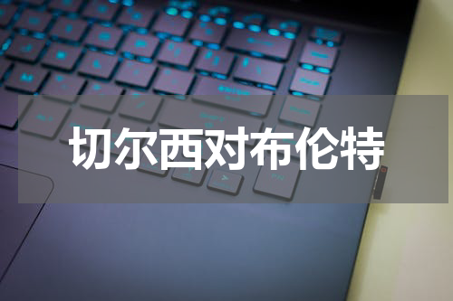 切尔西对布伦特