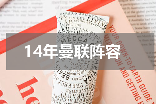 14年曼联阵容