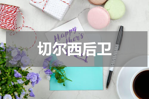 切尔西后卫