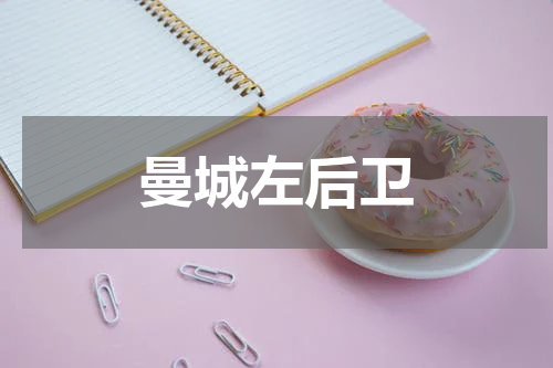 曼城左后卫